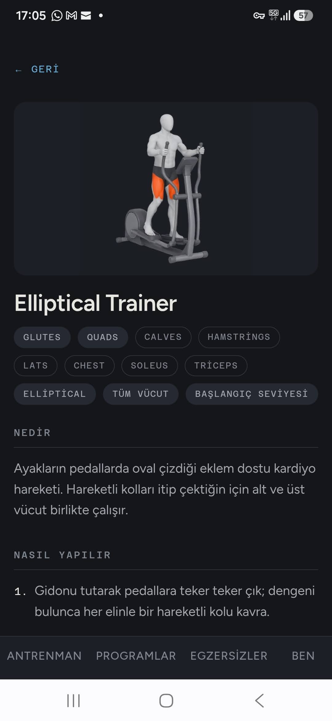 Egzersiz rehberi: hareketin çizimi, çalışan kaslar turuncuyla vurgulanmış